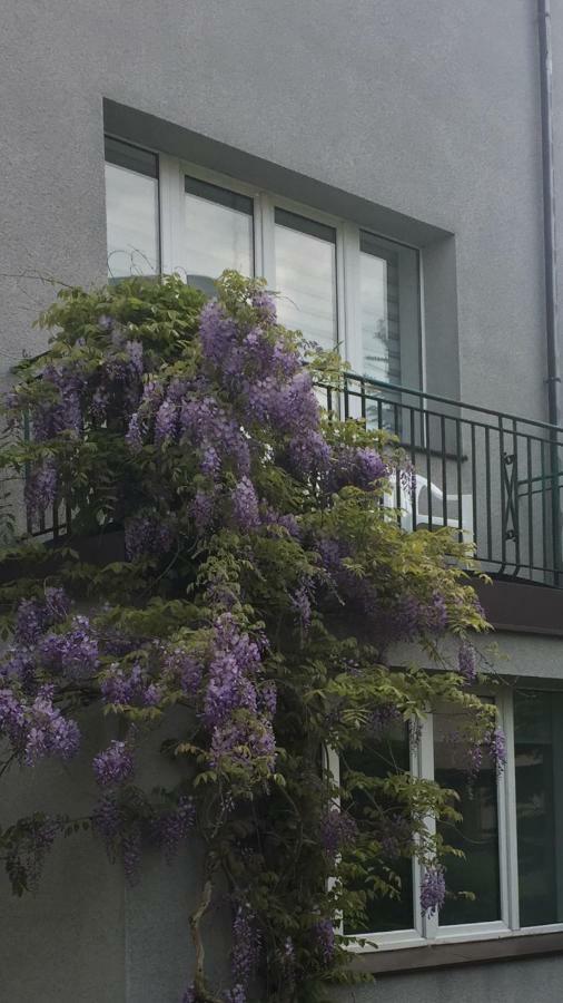Willa Przy Plazy Gdynia Kamienna Gora Exterior foto